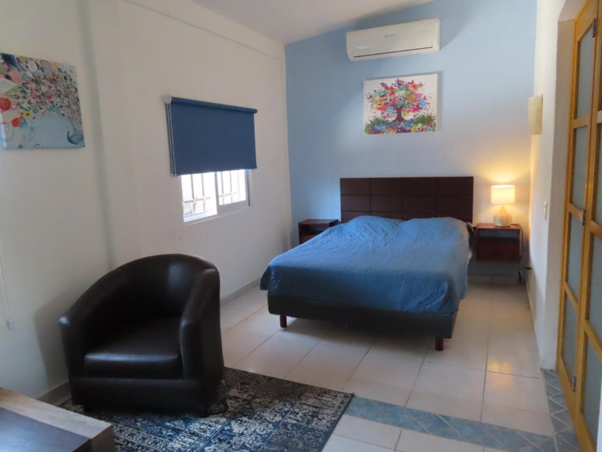 Villa Palmier -Quiet Cosy Air Conditioned Terrace 巴亞爾塔港 外观 照片