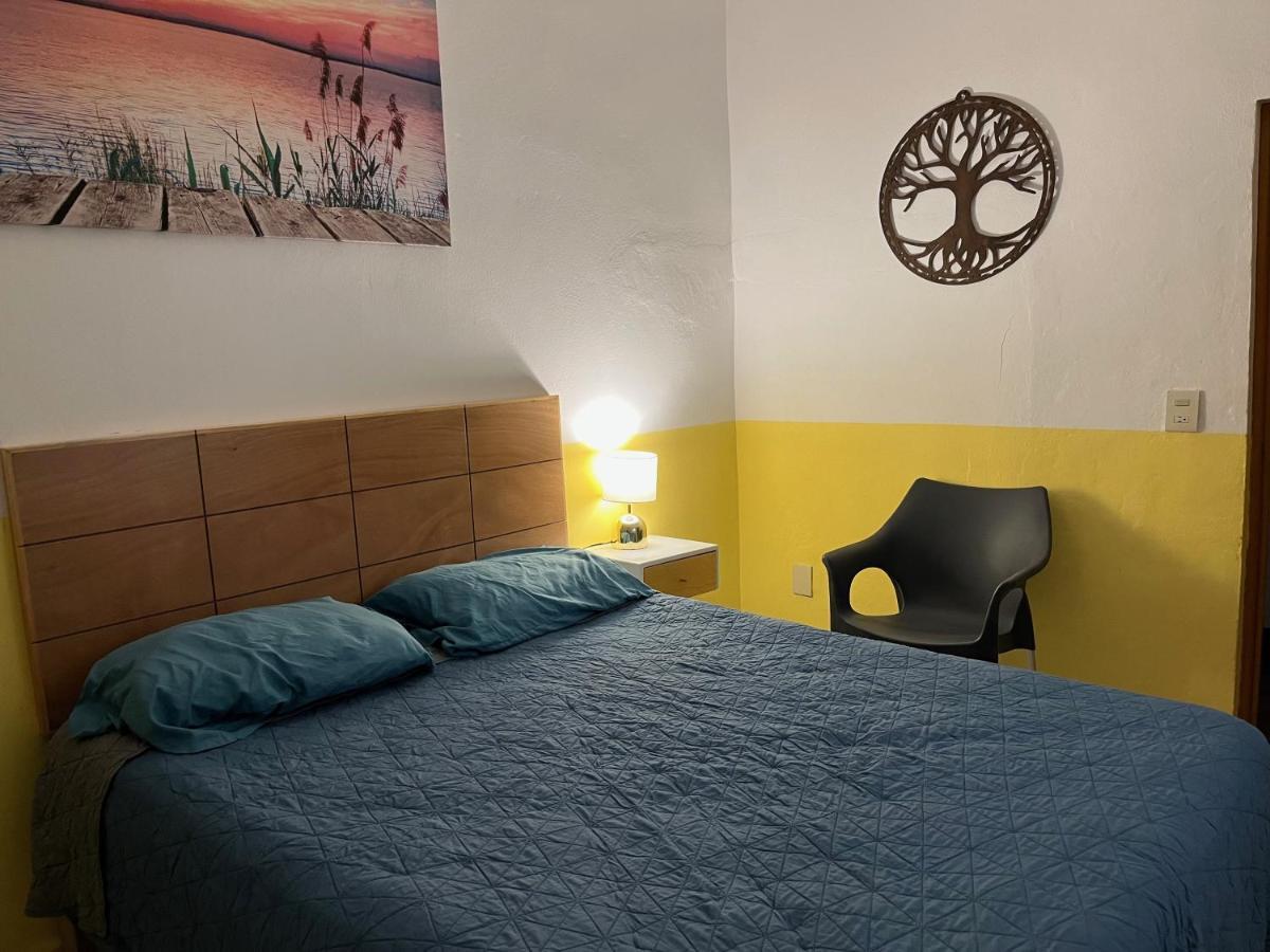 Villa Palmier -Quiet Cosy Air Conditioned Terrace 巴亞爾塔港 外观 照片