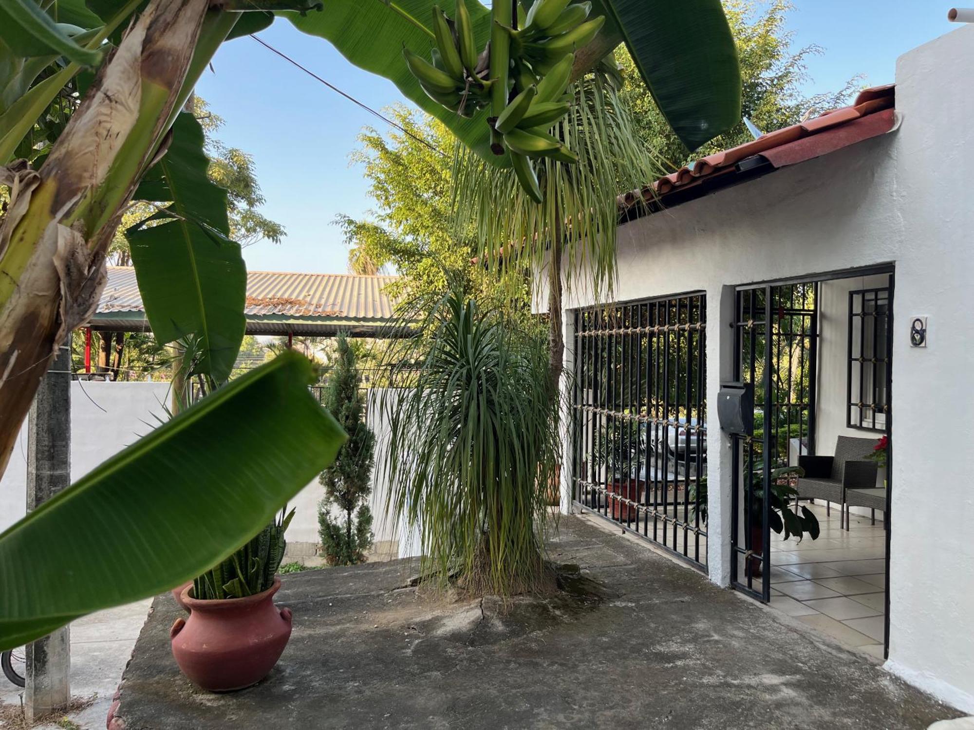 Villa Palmier -Quiet Cosy Air Conditioned Terrace 巴亞爾塔港 外观 照片